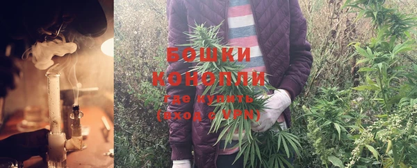 кокс Ельня