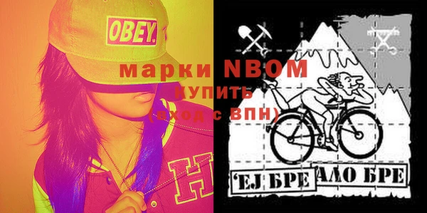 кокс Ельня