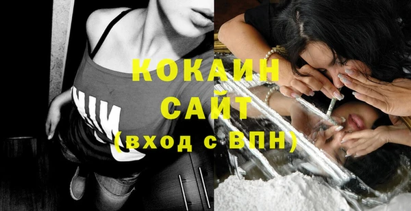 кокс Ельня